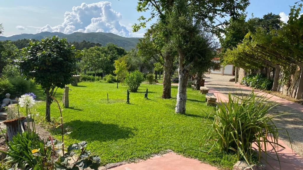 Quinta Dos Amores Ponte de Lima Exterior photo