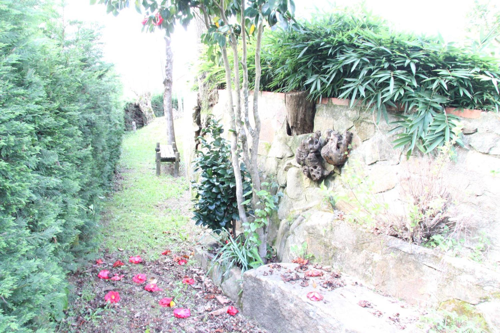 Quinta Dos Amores Ponte de Lima Exterior photo